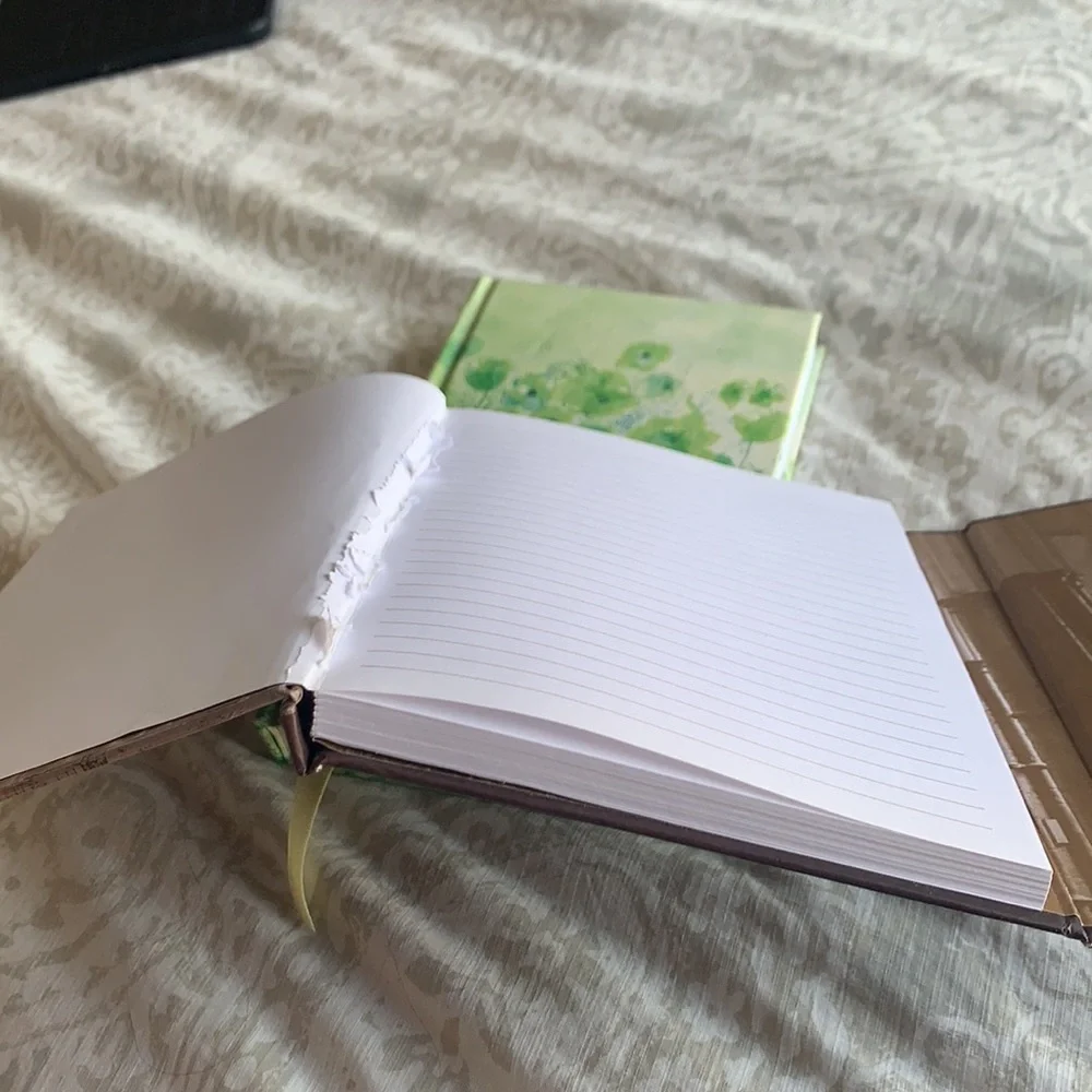 Set of Two Journals